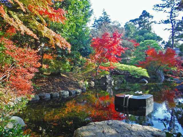 2018年12月1日、寒川神社 神嶽山神苑へ入苑しました。: パンチョココの