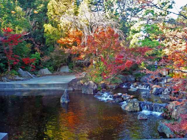 2018年12月1日、寒川神社 神嶽山神苑へ入苑しました。: パンチョココのわくわく双子パンダ・横浜・鎌倉散策 ブログ